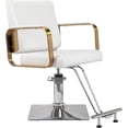 thumbnail image 1 of 19"low back Salon Chair,Styling Barber Chair,Barber Chair With Heavy Duty Hydraulic Pump, Adjustable Height & 360° Swivel For Barber Shop Hair Stylist,Beauty Salon Spa Equipment,Max Load 330 Lbs,White, 1 of 7