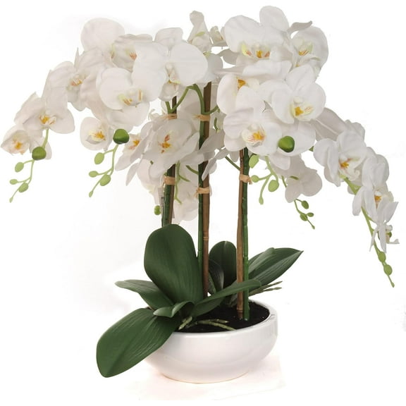 19"x13" White Phalaenopsis Orchid in 9-Inch Bowl Artificial Flower Arrangement for Home, Office & Event Dcor