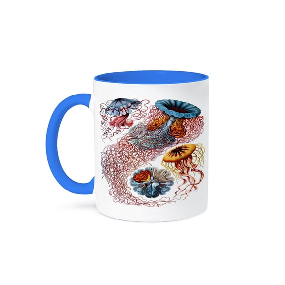 3dRose, 1904 German Biologist Vintage Drawings Of Jellyfish, 11oz Two-Tone Blue Mug