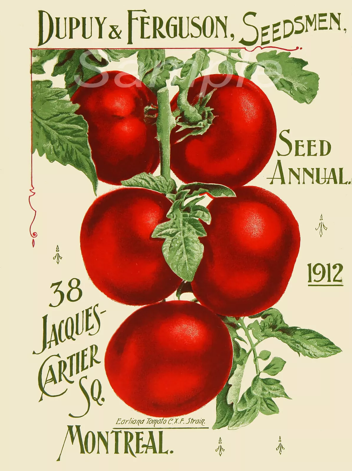 1912 TOMATOES AND SEEDS ADVERTISING POSTER PRINT