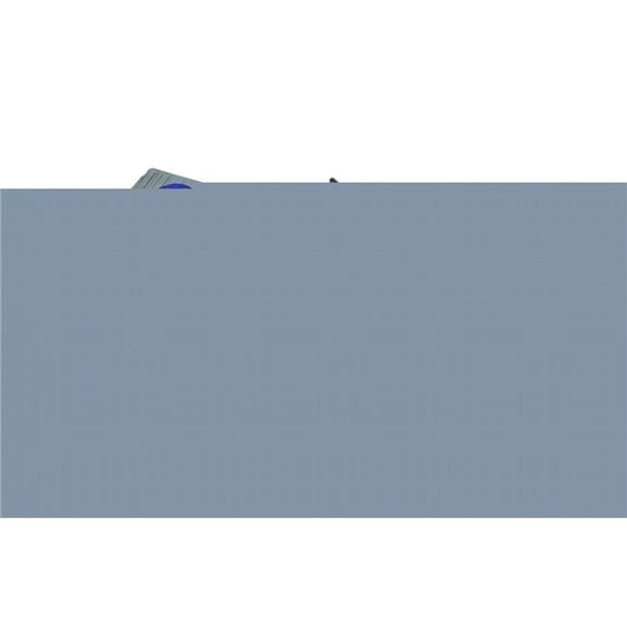 1916 Gray Bristol F28 Fighter Plane Tabletop Decor