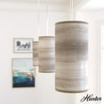 thumbnail image 1 of Hunter - Solhaven 1-light Light Grey Oak, Mini Pendant Light, Dimmable, Modern Style, Cylinder Shaped, for Bedrooms, Dining, Living Rooms - 19239, 1 of 7