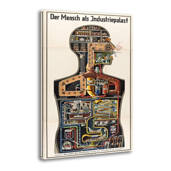 1931 The Human Factory - Vintage Industrial Anatomy Print Photo Art Painting Canvas Poster Home Decorative Bedroom Modern Decor Posters Gifts 12x18inch(30x45cm)