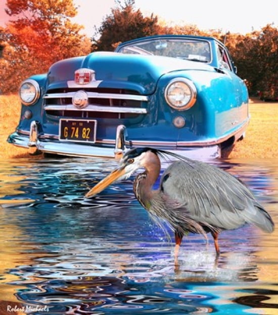 1950 Nash Rambler Convertible Canvas Art - Robert Michaels (15 x 17)