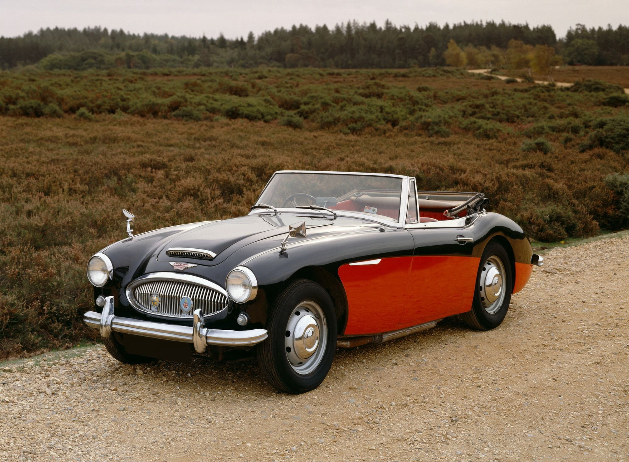 1964 Austin Healey 3000 MkIII 2 litre convertible sports two seater Country of origin United Kingdom Canvas Art - Panoramic Images (24 x 36)