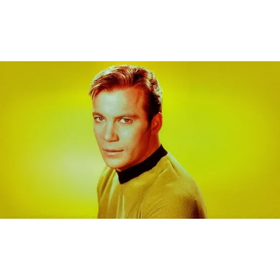 1966 Star Trek Movie Poster William Shatner Leonard Nimoy Kirk Spock UNFRAMED PAPER POSTER