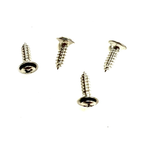 1968-1969 Interior Pillar Post Screws Set