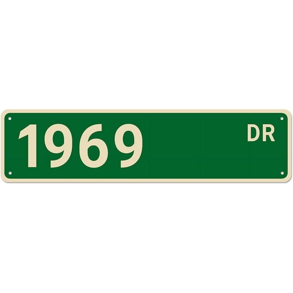1969 Street Signs, 1969 Decor 1969 Sign Born in 1969 Birthday Gift, Wall Decor for Home/Bedroom/Man Cave, Quality Metal Signs 16x4 Inch