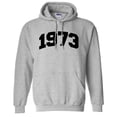 thumbnail image 1 of 1973 College Style Hoodie Sweatshirt Unisex 3X-Large Grey, 1 of 5