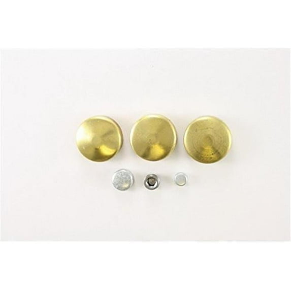 1975 Oldsmobile 98 Expansion Plug Kit