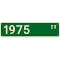 thumbnail image 1 of 1975 Street Signs, 1975 Decor 1975 Sign Born in 1975 Birthday Gift, Wall Decor for Home/Bedroom/Man Cave, Quality Metal Signs 16x4 Inch, 1 of 4