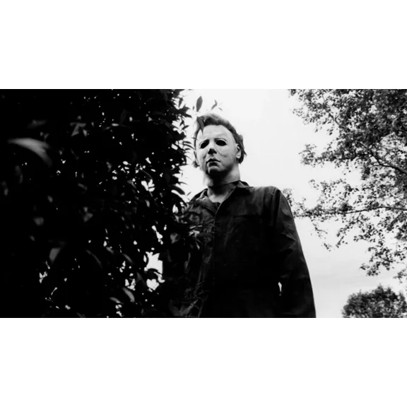 1978 Horror Movie Poster Michael Myers Laurie Strode Castle Horror UNFRAMED PAPER POSTER