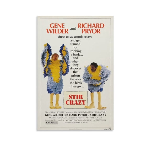1980 American Comedy Movie Stir Crazy Retro Poster Posters Art Print Wall Photo Paint Poster Hanging Picture Family Bedroom Decor Gift 24x36inch(60x90cm)