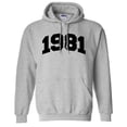 thumbnail image 1 of 1981 College Style Hoodie Sweatshirt Unisex 2X-Large Grey, 1 of 5