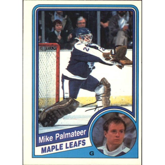 1984-85 O-Pee-Chee #308 Mike Palmateer NHL Hockey Trading Card