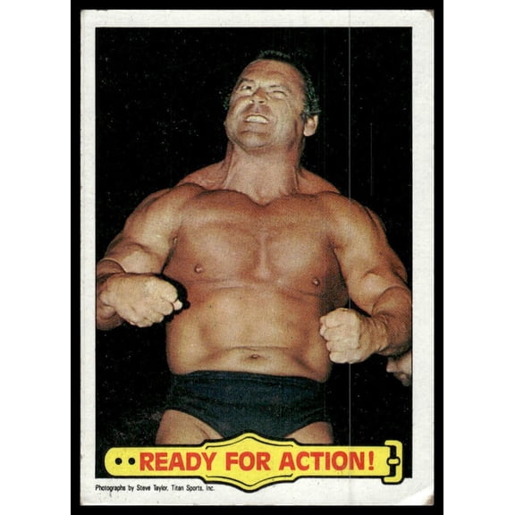 1985 Topps WWF Pro Wrestling Stars Ready For Action! #46