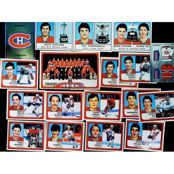 1988-89 Panini Stickers RARE Montreal Canadiens Team Set 19 Cards Patrick Roy