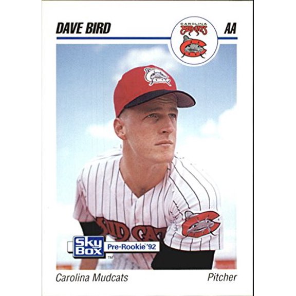 1992 SkyBox AA #59 Dave Bird MLB Baseball Trading Card