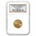 thumbnail image 1 of 1996-W Gold $5 Commem Flag Bearer MS-69 NGC, 1 of 3