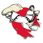 1997 Ken & Marty Eubanks Bluegrass Nationals Karate Martial Arts Tournament DVD -VO5358A