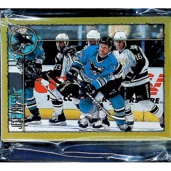 1998-99 Topps San Jose Sharks Team Set 12 Cards Jonathan Cheechoo RC MINT