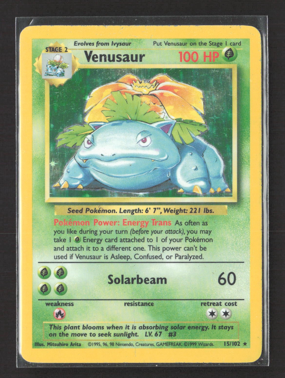 pokemon card   PTCGP