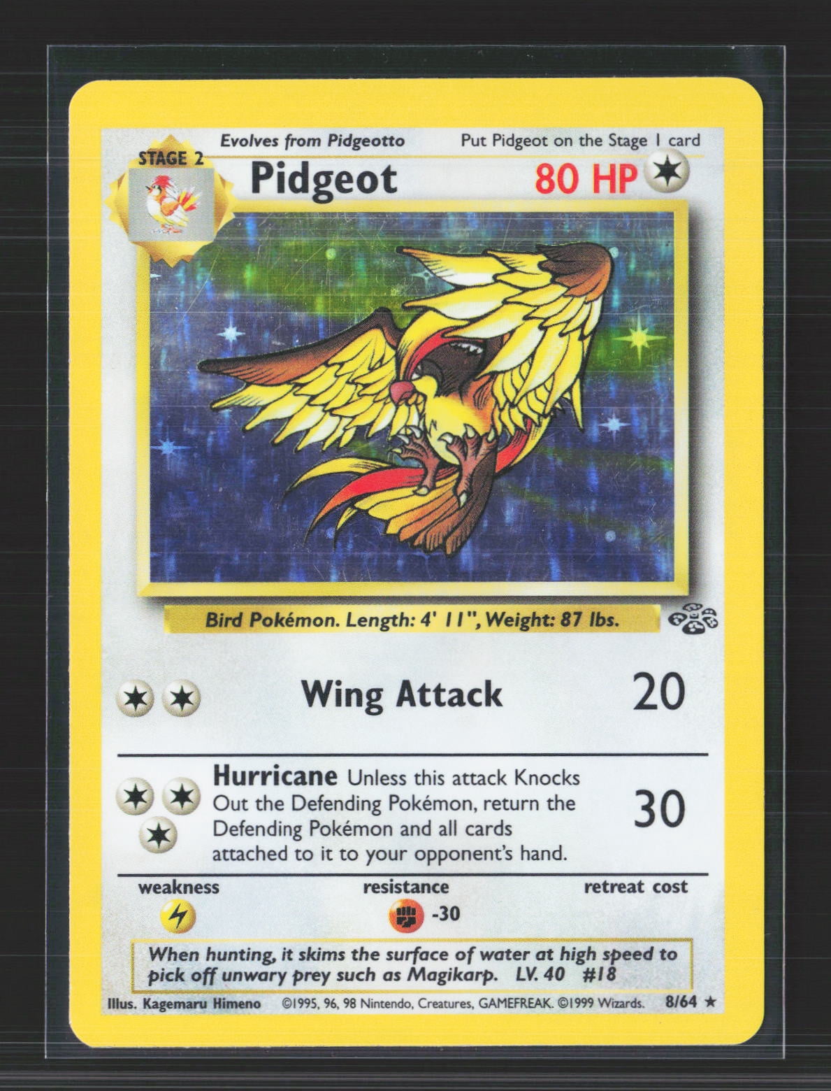 Jungle Pokemon Cards Jungle Pokemon Cards