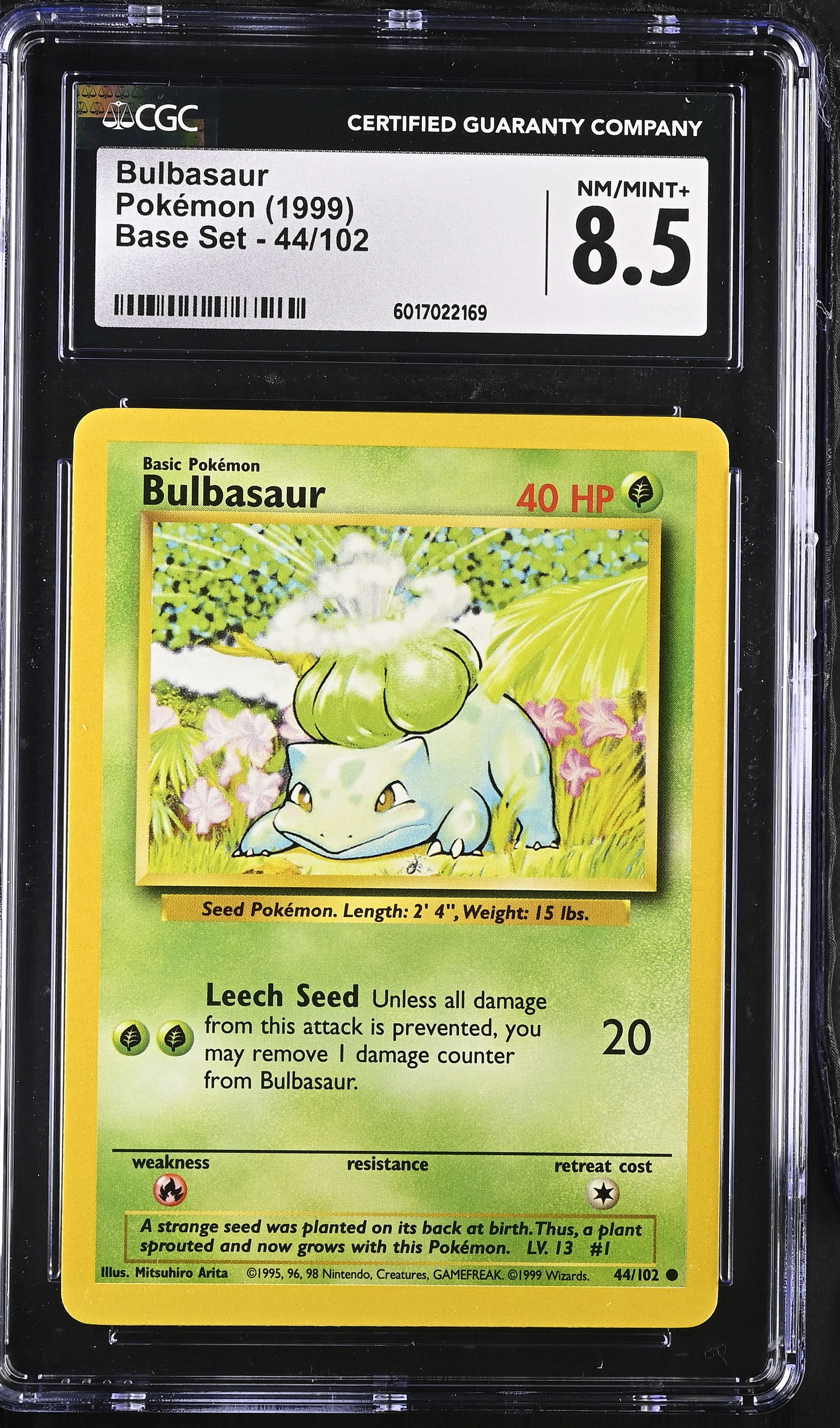 frame pokemon cards Card Frame Display