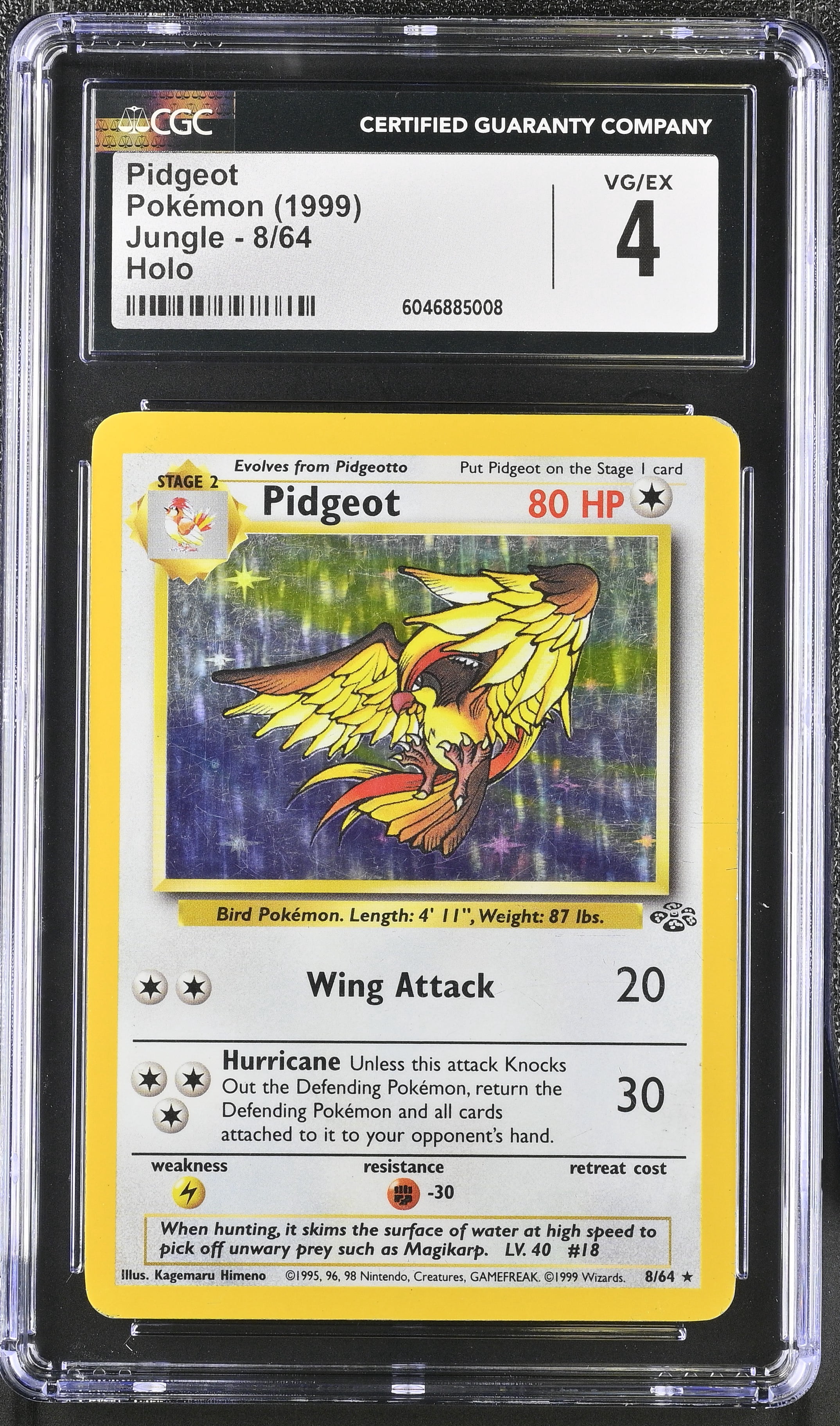 Pokemon Cards 1999 Pokemon Cards 1999