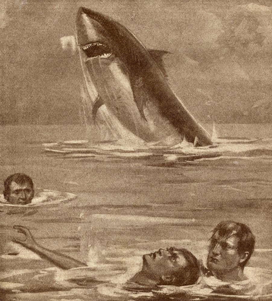 19Th Century Illustration Of Man Rescuing Swimmer With Shark In Background Canvas Art - Ken Welsh Design Pics (13 x 15)