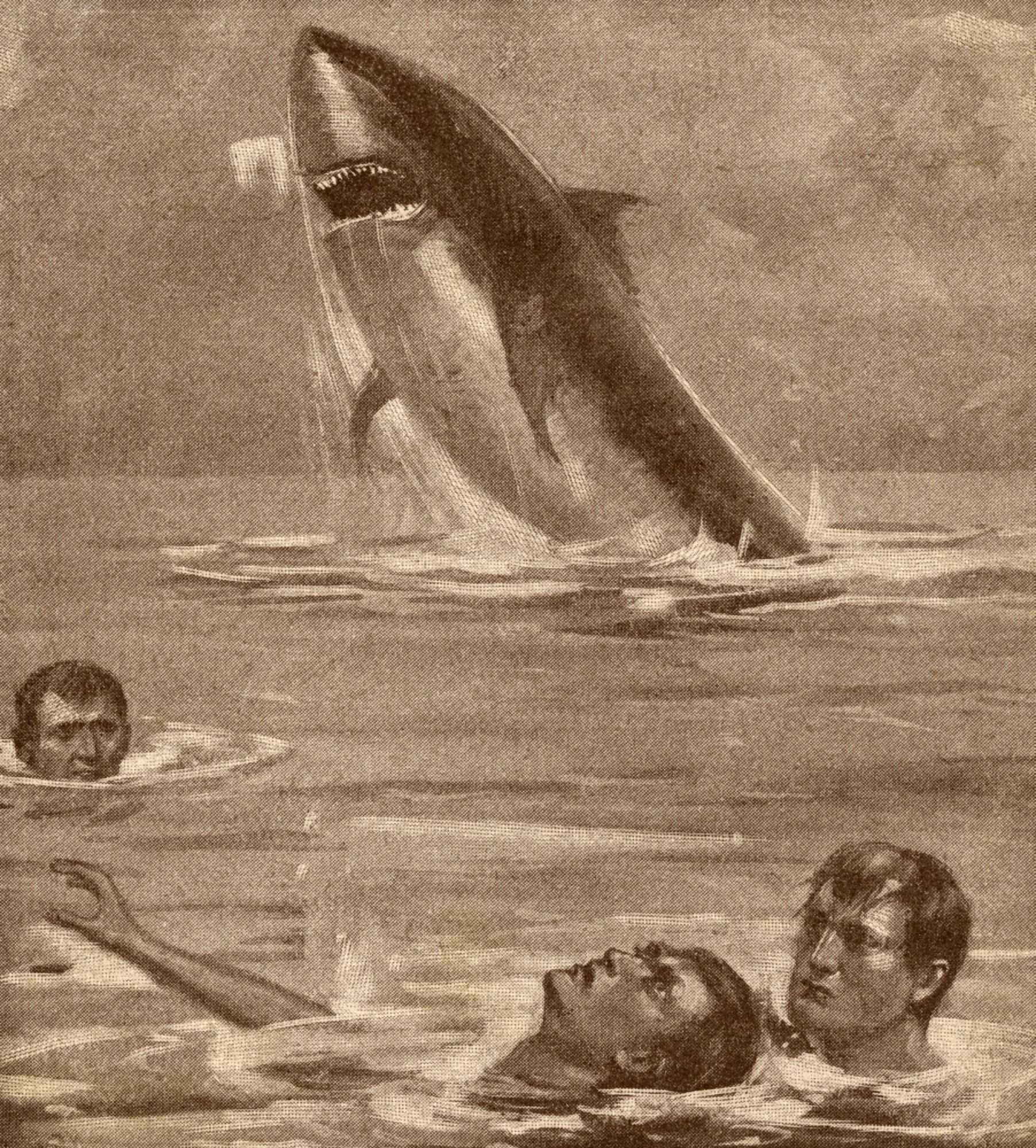 19Th Century Illustration Of Man Rescuing Swimmer With Shark In Background Canvas Art - Ken Welsh Design Pics (26 x 30)