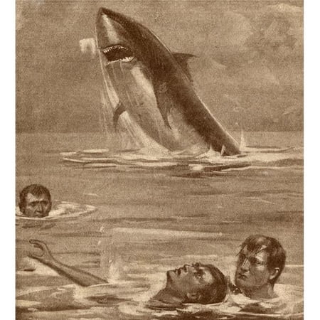 19th Century Illustration of Man Rescuing Swimmer with Shark In Background Poster Print, 26 x 30 - Large