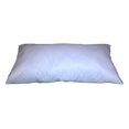 thumbnail image 1 of 19x24 Inch Rectangular Throw Pillow Insert Form, 1 of 2