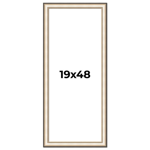 19x48 Frame Gold Silver Plein Aire 2" Inch Wide Moulding Solid Wood Picture Frame | Modena