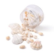 1Box 54 Pcs Natural Dyed Scallop Shell Beads Set Sea Shell Beads Trumpet Shell Cowrie Shell Mixed Color 39~43x37~42x6~7mm Hole: 2mm 3 styles DIY