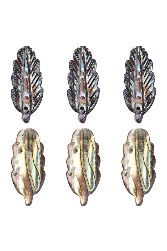 1Box 6Pcs Natural Paua Shell Pendants Leaf 24x9x2mm