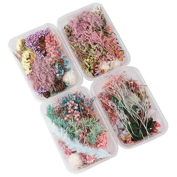 1Box Real Dried Flowers For DIY Art Craft Epoxy Resin Pendant Jewellery Making
