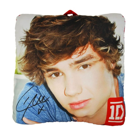 1D One Direction Photo 10" Collectible Pillow: Liam