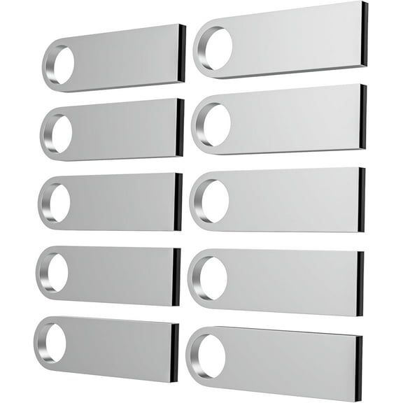 1GB USB Flash Drive 10 Pack, Metal Flash Drive USB 2.0 Thumb Drives with Keychains USB Stick 1GB USB Drive Pendrive