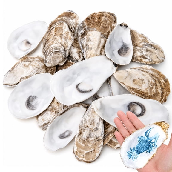 1KG Natural Large Oyster Shells Bulk - Approx 6 Inch Clean Sea Shells for Crafts, Vase Filler, Table Centerpieces, Coastal Home Decor and DIY Projects