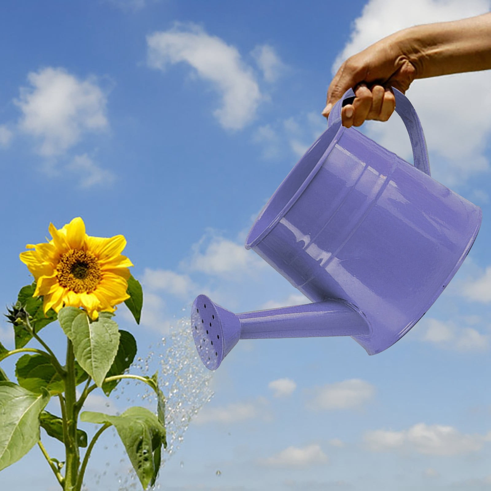 1L Metal Watering Can for - Rust-Resistant Garden Watering Can with Long Spout, for Indoor & Outdoor Flowers, Lawn, Herbs - Essential Gardening Tool Accessories