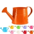 thumbnail image 1 of 1L Metal Watering Can with Long Spout, Small Watering Can for Indoor Outdoor Plants, Galvanized Steel Gardening Watering Pot, 1 of 7