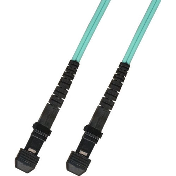 1M - 10 Gigabit (10Gb) OM3 Duplex Fiber Optic Cable (50/125) - MTRJ to MTRJ