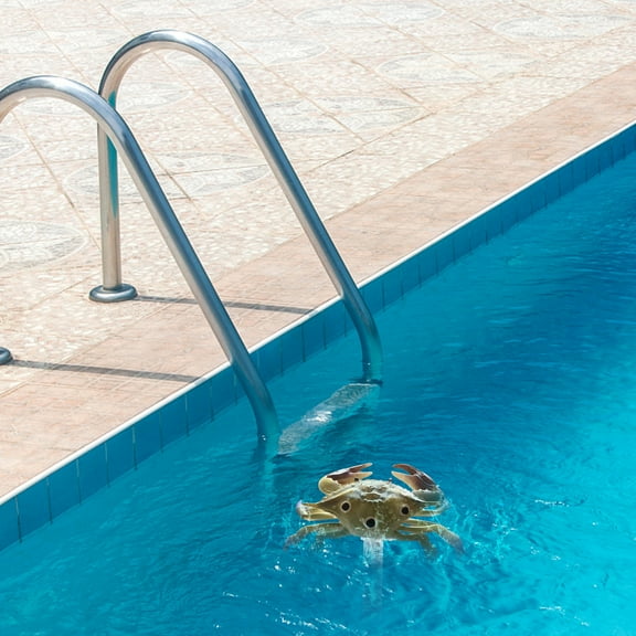 1ML Swimming Pool Floating With Rope Outdoor Floating For Swimming Pool Spa Bathtub Aquarium And Fish Pond, Usupdd 2025 1ML Swimming Pool Floating With