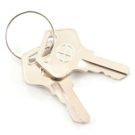 1PACK Dayton 31UK66 Key Fang Auto Scrubbers