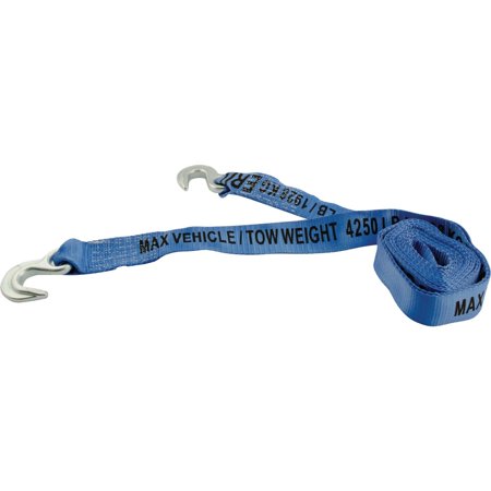 1PACK Erickson 2 In. x 15 Ft. 4250 Lb. Polyester Tow Strap with Hooks, Blue
