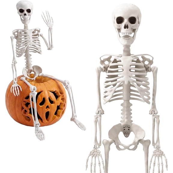 1PC 3FT Halloween Skeleton, Posable Full Body Decoration for Haunted House,C,35"
