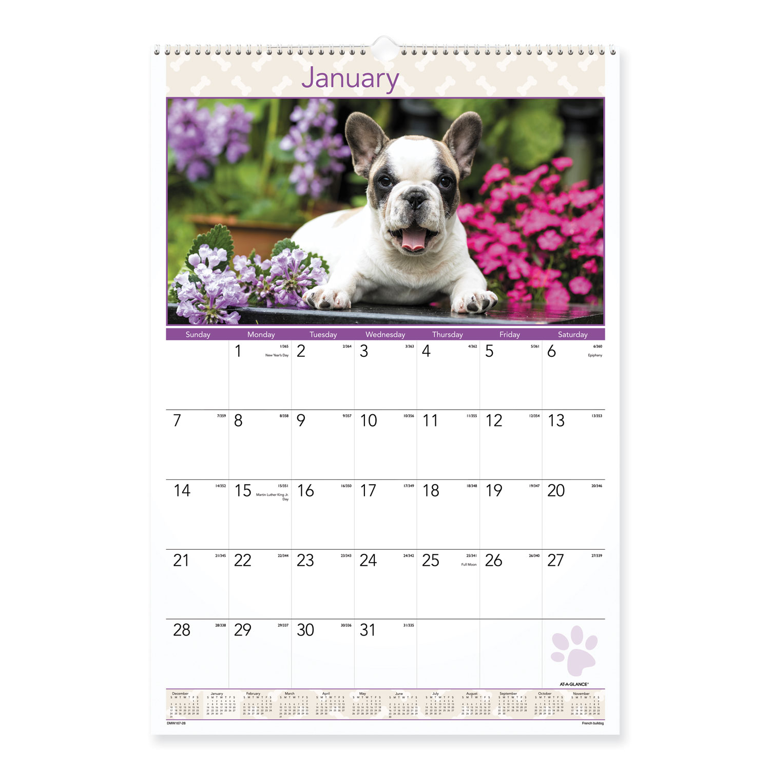 1PC AT-A-GLANCE Puppies Monthly Wall Calendar, Puppies Photography, 15. ...