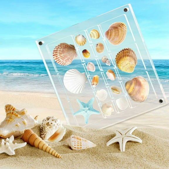 1PC Acrylic Magnetic Seashell Display Box, Seashell Display Case for Seashell Starfish Trinket, Acrylic Shadow Box, Small Craft Organizers Display Seashell Jewelry Crystal