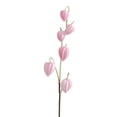 thumbnail image 1 of 1PC Artificial Chinese Lantern Stems, 27.5In Long Realistic Plastic Faux Cherry Branches, Fall Floral for Home Shop Decor (Pink), 1 of 6